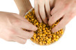 fried corn
