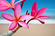 Detaily fotografie plumeria květiny na pl&aacute;ži