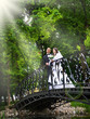 Foto: Just married couple releasing a white dove Just married couple releasing a white dove