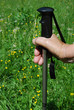 Foto: Stock für Nordic Walking im Grünen Stock für Nordic Walking im Grünen