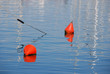 Buoys on calm sea