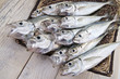 Pesce di pescheria