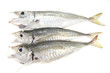 Pesce di pescheria