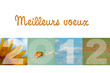meilleurs voeux 2012