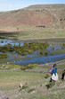 Chullpas inkas de sillustani,Peru