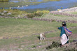Chullpas inkas de sillustani,Peru