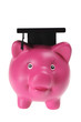 Piggy Bank with Mortar Board