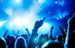 concert crowd in front of bright blue stage lights concert crowd in front of bright blue stage lights