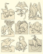 Set of animals and medieval scenes
