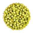 gooseberry bunch