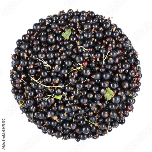 Photo: blackcurrant bunch blackcurrant bunch