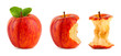 Red apple row