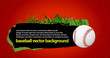 baseball banner vector