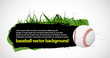 baseball banner vector 2