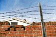 Barbed Wire