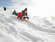 Pre-teen Boy On A Sled In The Snow