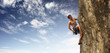 Climbing