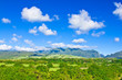 ile de la réunion