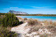 Sardinia, Italy: Cala Brandichi beach, near San teodoro.