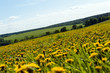 Photo: Landscape Landscape