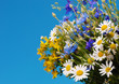 Fresh flowers