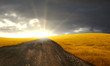 Road on grain field