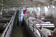 Photo: Three Farm Workers Three Farm Workers