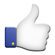 Like Icon