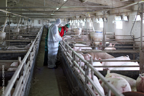 Photo: Three Farm Workers Three Farm Workers