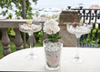 Jordan Almonds Celebration image for birthdays and weddings
