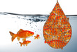 Fische in einem Netz