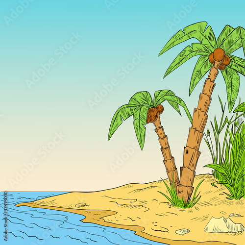 Vector: Color sketch of tropical palm on coast of ocean Color sketch of tropical palm on coast of ocean
