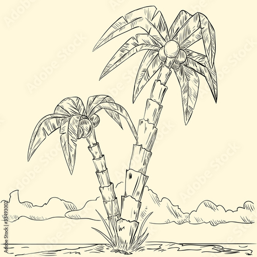 Vector: Sketch of tropical palm on island in ocean Sketch of tropical palm on island in ocean
