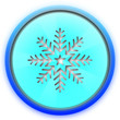 Bouton flocon