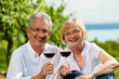 Glückliches Paar trinkt Wein am See im Sommer