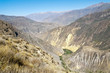 View of Sangalle Oasis View of Sangalle Oasis