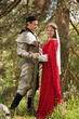 Photo: knight in armour and maid knight in armour and maid