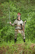 Knight in armor