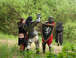 fighting knights