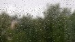 Regenfenster