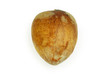 Avocado seed Avocado seed