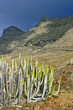 mountain Landscape.Fuerteventura .Canary island