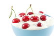 blue bowl full of red cherries in white cream isolated on white