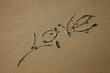 word "love"