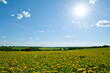 Photo: Rural landscape Rural landscape