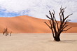 desert Namib,pan Sossusvlei,Africa