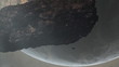 Video: Asteroid Over Earth Asteroid Over Earth