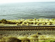 california - pacific ocean - rails