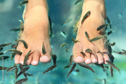 Photo : Fish spa skin care Fish spa skin care