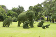 The elephant tree in the park.